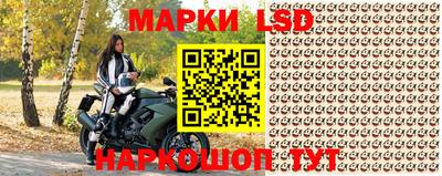 тгк Аргун