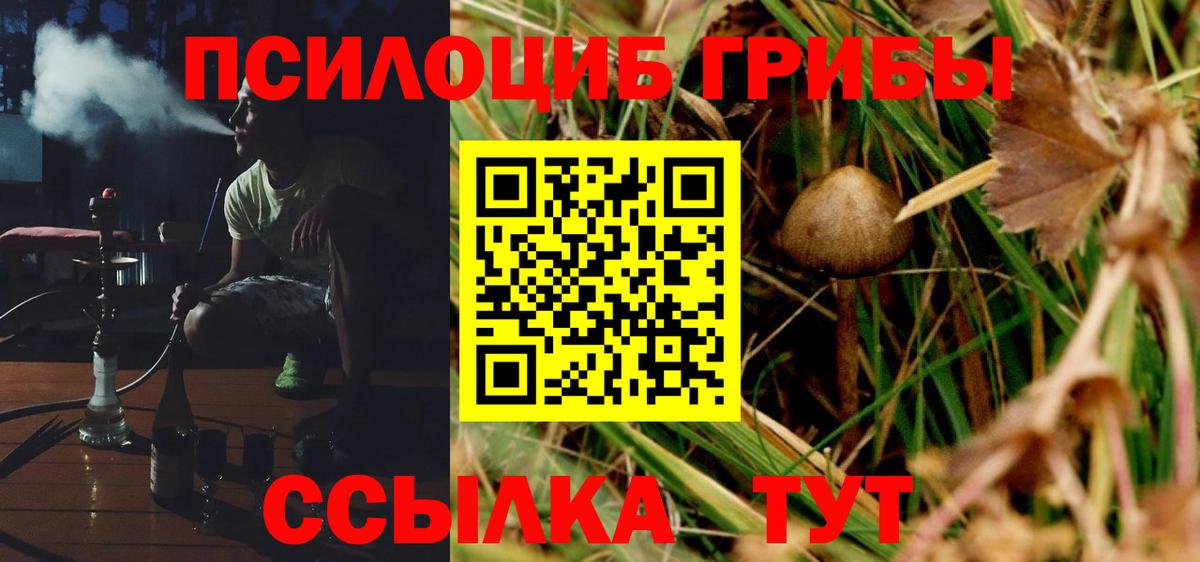 Архангельск  Псилоцибиновые грибы Psilocybine cubensis  Галлюциногенные грибы Cubensis  Вход с VPN 
