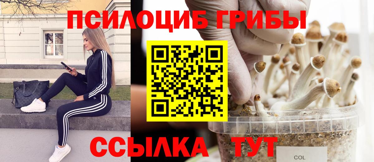 Псилоцибиновые грибы GOLDEN TEACHER Архангельск